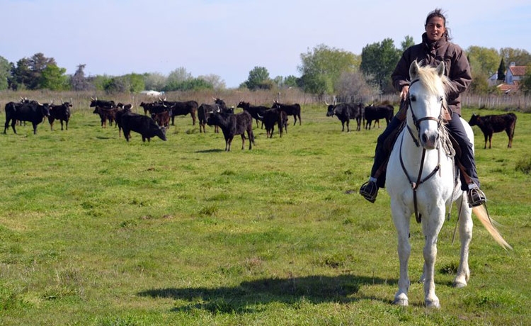 decouverte-monte-travail-camargue