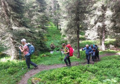 13 JUIN - Alpage Juifenalm