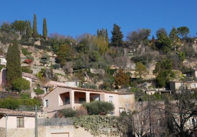 A travers la forêt du Bessillon