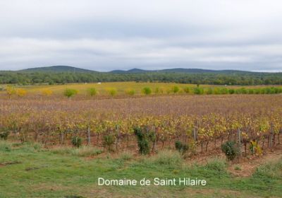 Assemblée Générale 2022