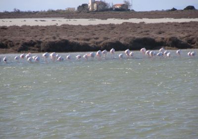 Autour de l'étang de Galabert