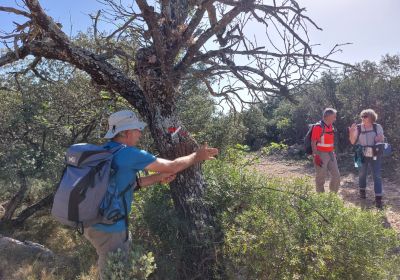Balisage st Hilaire jaune_1