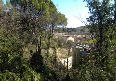 Carcès - Chutes du Caramy