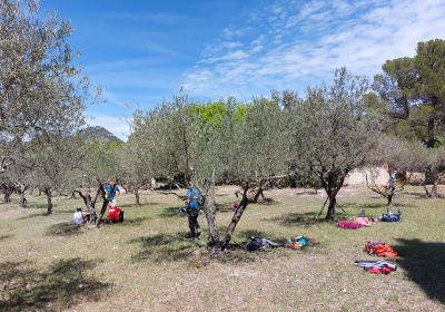 De Ponteves Au Petit Bessillon