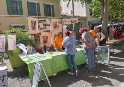 Forum des Associations 2025