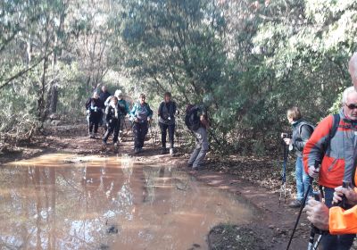 Garagaïs et pierres sèches