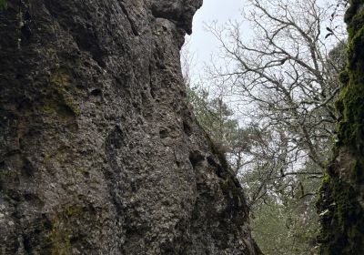 L'Arche