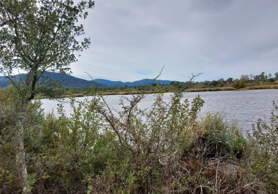 Le lac des Escarcets