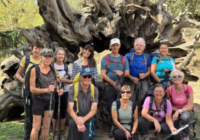 Le Plateau Lambert Depuis Collobrières 