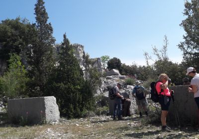 Les avens de Siou Blanc