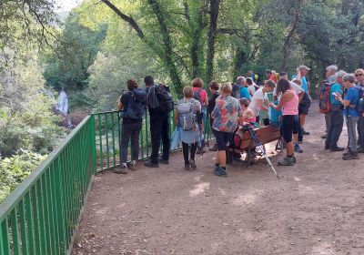 Les chutes du lac de Carcès