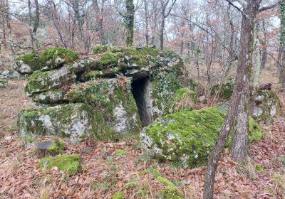 Les Curiosités Géologiques De La Forêt De Montrieux 