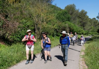 Les monts Carpiagne