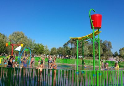 Pique-nique au lac de Peyrolles