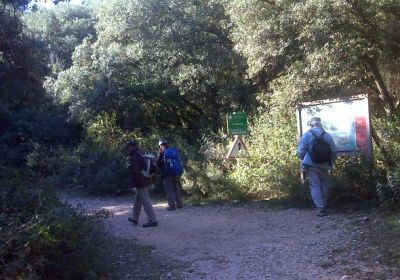 Reco St Remy - Le Glanum