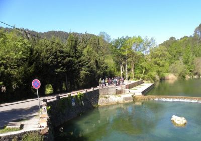 Salernes - Les cascades de la Bresque