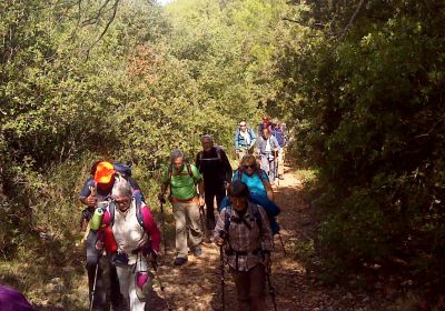 St Zacharie - Nd D'orgnon Mentelette 