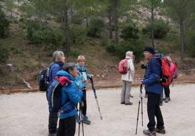 Ste Victoire Cézanne Escalette