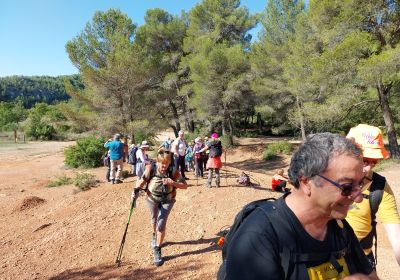Ste Victoire-Les Roques-Hautes 