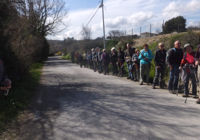 Sur les pas de la transhumance