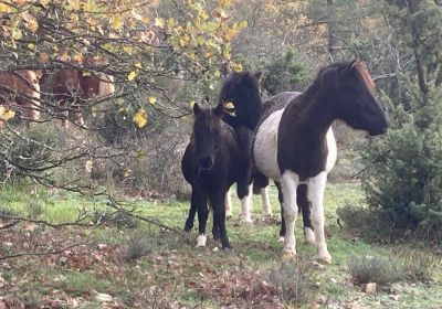 Taverne Hameau De Burry 