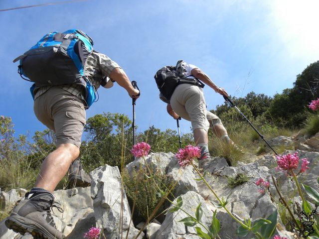 Vers la Barre de st Quinis