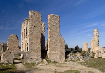 Vieux château de Tourves